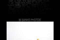 denial-watermark-1