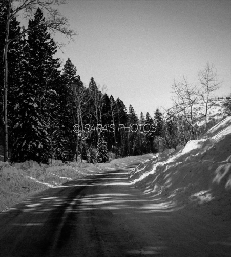 Shadows of Silence