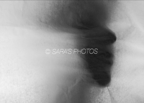 eZy-Watermark_17-06-2020_06-33-03PM-1