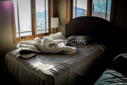 eZy-Watermark_30-01-2022_01-36-53PM