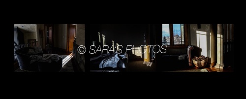 eZy-Watermark_30-01-2022_02-11-33PM