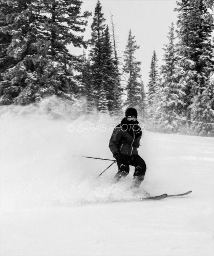ski-post-2