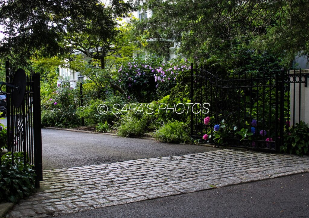 A brick road in the middle of a garden.